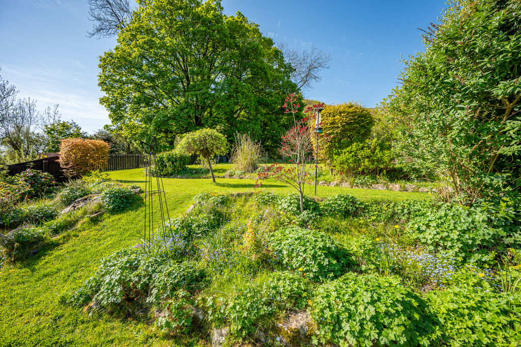 Garden- click for photo gallery